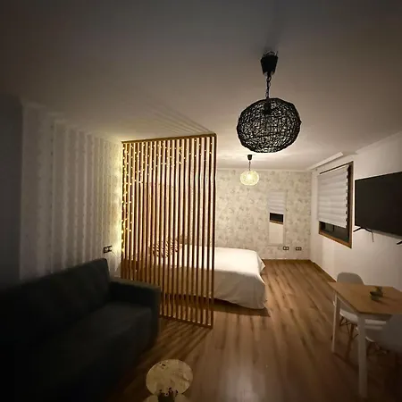 Apartment Estudio Sanjurjo Badia